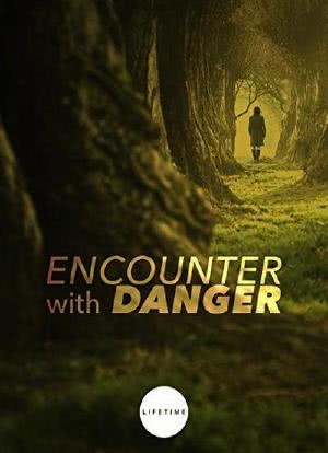 Encounter with Danger海报封面图