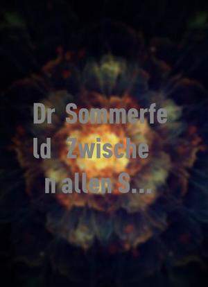 Dr. Sommerfeld - Zwischen allen Stühlen海报封面图