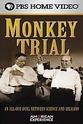 Christine Lesiak Monkey Trial