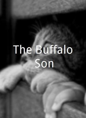 The Buffalo Son海报封面图
