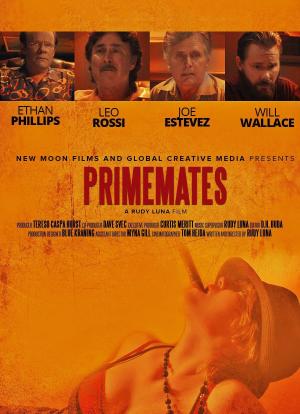 PrimeMates海报封面图