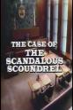 勒内·恩里克斯 Perry Mason: The Case of the Scandalous Scoundrel