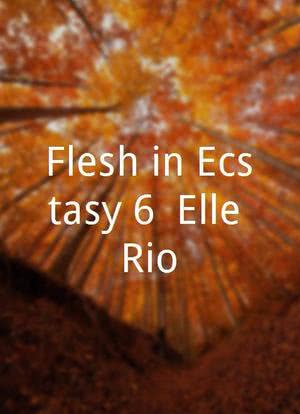 Flesh in Ecstasy 6: Elle Rio海报封面图