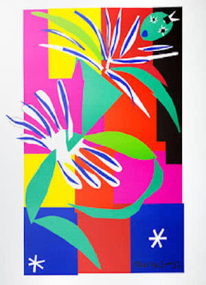 The Culture Show: Henri Matisse - A Cut Above the Rest海报封面图