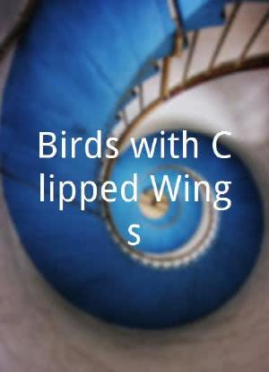 Birds with Clipped Wings海报封面图