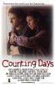 Peter Neil Lincoln Counting Days