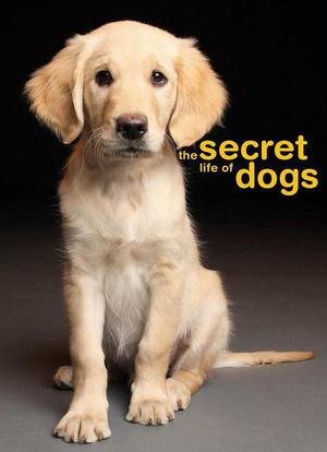 狗的秘密生活海报封面图