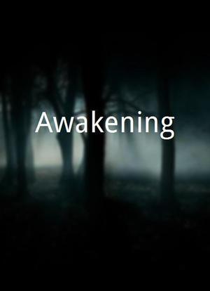 Awakening海报封面图