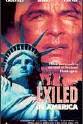 玛丽莲·哈赛特 Exiled in America