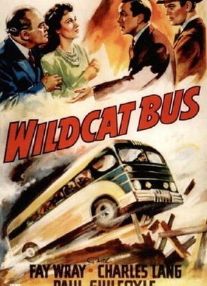 Wildcat Bus海报封面图