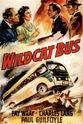 Landers Stevens Wildcat Bus
