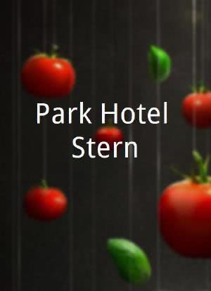 Park Hotel Stern海报封面图