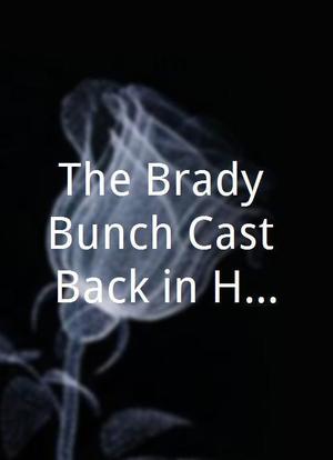 The Brady Bunch Cast Back in Hawaii海报封面图