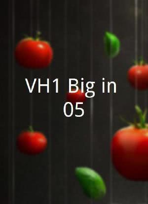 VH1 Big in 05海报封面图