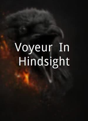 Voyeur: In Hindsight海报封面图
