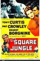 Barry Regan The Square Jungle
