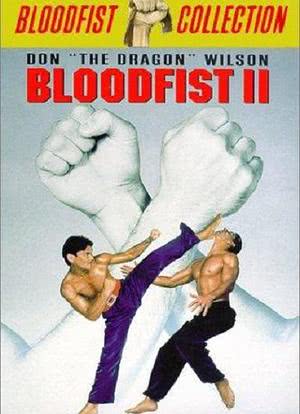 血拳2海报封面图