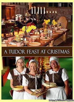 A Tudor Feast at Christmas海报封面图