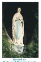 Adam Ayub Our Lady of Lourdes
