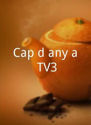 Cap d'any a TV3海报封面图