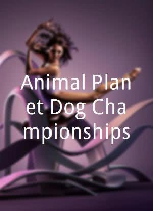 Animal Planet Dog Championships海报封面图