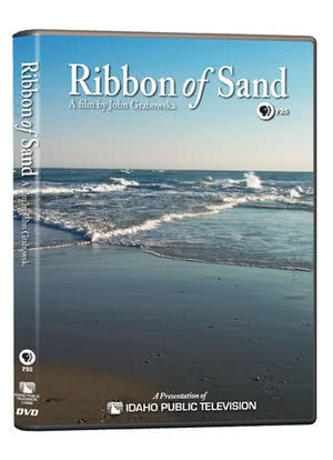 Ribbon of Sand海报封面图