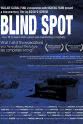 David Pimentel Blind Spot