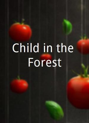 Child in the Forest海报封面图