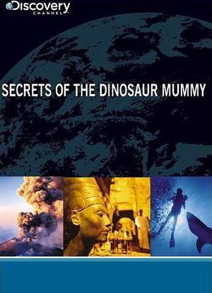 恐龙化石的秘密海报封面图