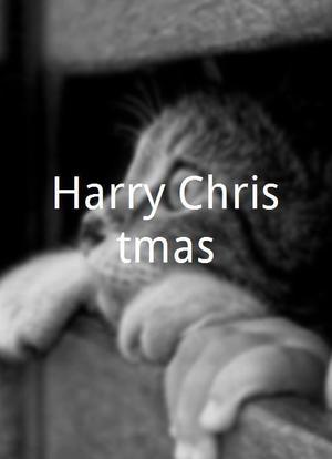 Harry Christmas海报封面图