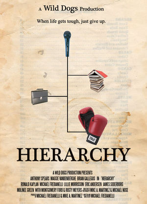 Hierarchy海报封面图