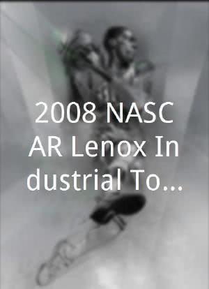 2008 NASCAR Lenox Industrial Tools 301海报封面图