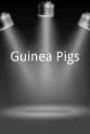 Dawn Kuisma Guinea Pigs