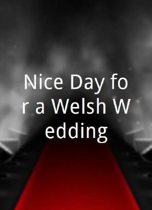 Nice Day for a Welsh Wedding海报封面图