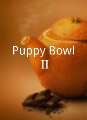Puppy Bowl II海报封面图