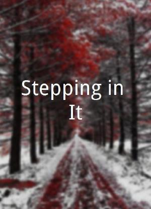 Stepping in It海报封面图