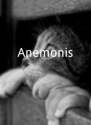 Anemonis海报封面图