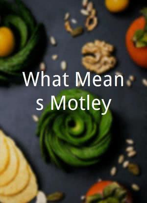 What Means Motley?海报封面图