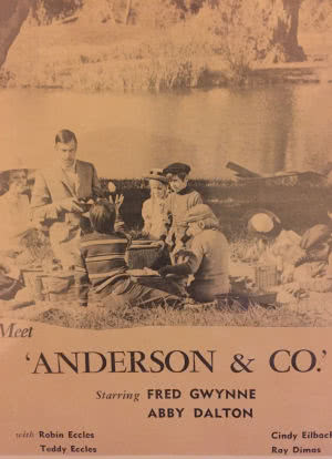 Anderson and Company海报封面图