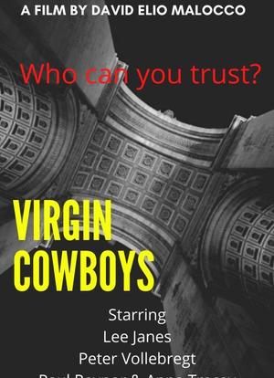Virgin Cowboys海报封面图
