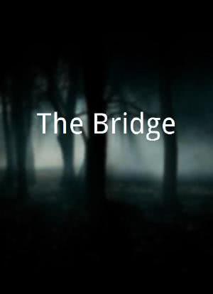 The Bridge海报封面图