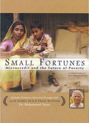 Small Fortunes: Microcredit and the Future of Poverty海报封面图