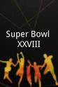Elvis Patterson Super Bowl XXVIII