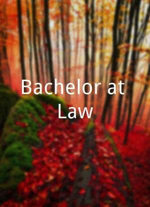 Bachelor-at-Law海报封面图