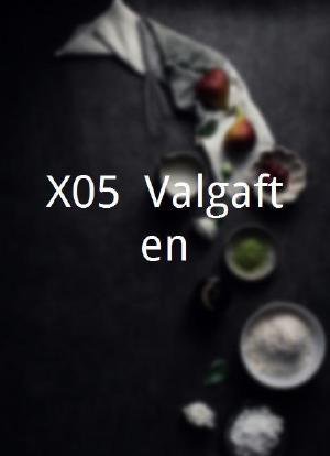 X05: Valgaften海报封面图