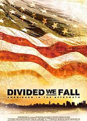 Divided We Fall: Americans in the Aftermath海报封面图