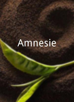 Amnesie海报封面图
