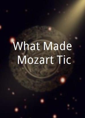 What Made Mozart Tic海报封面图