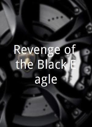 Revenge of the Black Eagle海报封面图