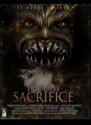 The Last Sacrifice海报封面图
